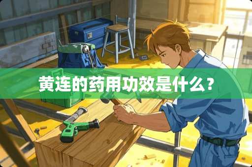 黄连的药用功效是什么？