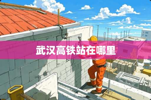 武汉高铁站在哪里