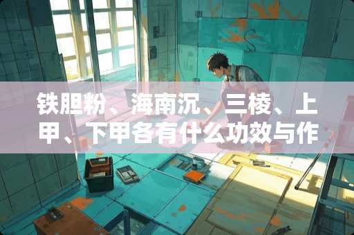 铁胆粉、海南沉、三棱、上甲、下甲各有什么功效与作用？