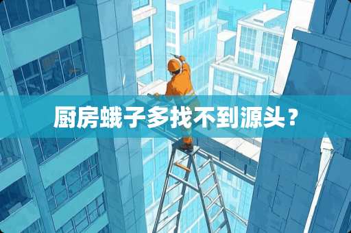 厨房蛾子多找不到源头？