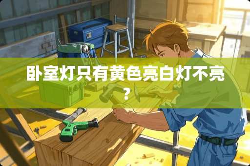 卧室灯只有**亮白灯不亮？