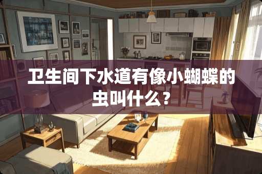 卫生间下水道有像小蝴蝶的虫叫什么？