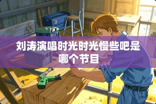 刘涛演唱时光时光慢些吧是哪个节目