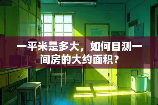 一平米是多大，如何目测一间房的大约面积？