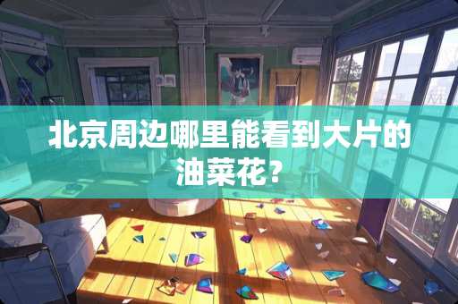 北京周边哪里能看到大片的油菜花？