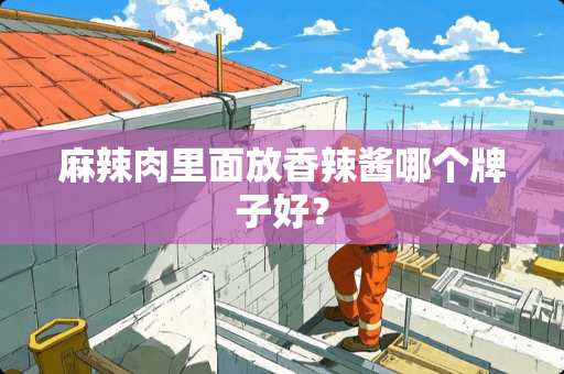 麻辣肉里面放香辣酱哪个牌子好？