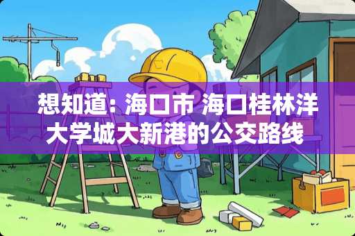 想知道: 海口市 海口桂林洋大学城大新港的公交路线 在哪
