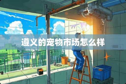 遵义的宠物市场怎么样