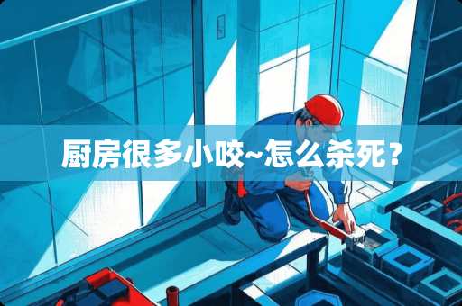 厨房很多小咬~怎么杀死？