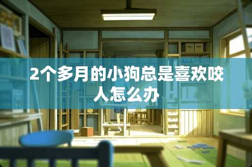 2个多月的小狗总是喜欢咬人怎么办
