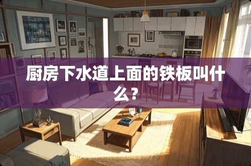 厨房下水道上面的铁板叫什么？