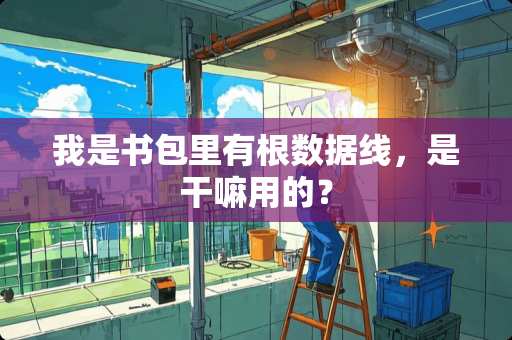 我是书包里有根数据线，是干嘛用的？