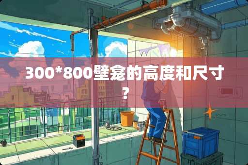 300*800壁龛的高度和尺寸？