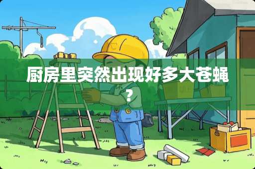 厨房里突然出现好多大苍蝇？