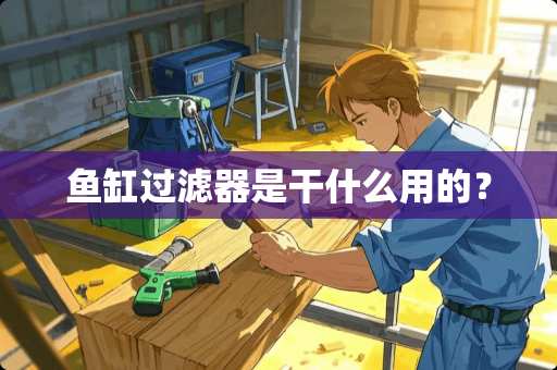 鱼缸过滤器是干什么用的？