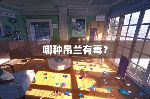 哪种吊兰有毒？