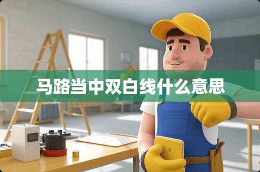 马路当中双白线什么意思