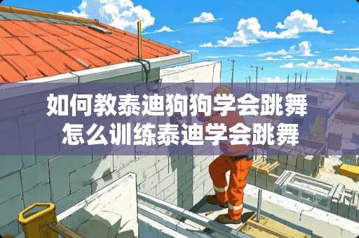 如何教泰迪狗狗学会跳舞 怎么训练泰迪学会跳舞