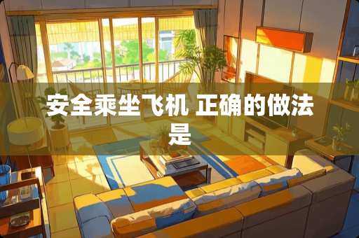 安全乘坐飞机 正确的做法是