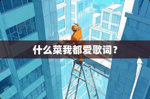 什么菜我都爱歌词？