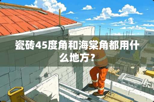 瓷砖45度角和海棠角都用什么地方？