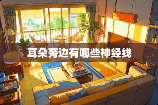 耳朵旁边有哪些神经线