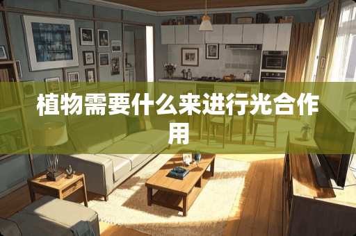 植物需要什么来进行光合作用