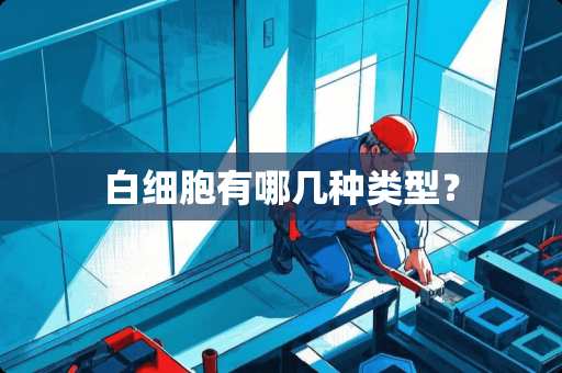 白细胞有哪几种类型？