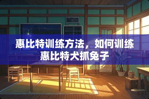 惠比特训练方法，如何训练惠比特犬抓兔子