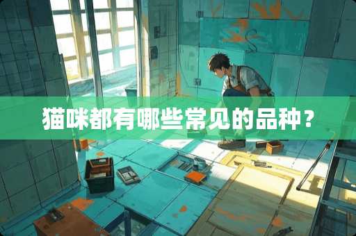 猫咪都有哪些常见的品种？
