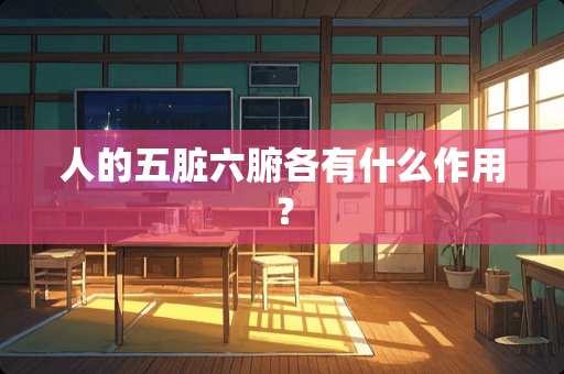 人的五脏六腑各有什么作用？