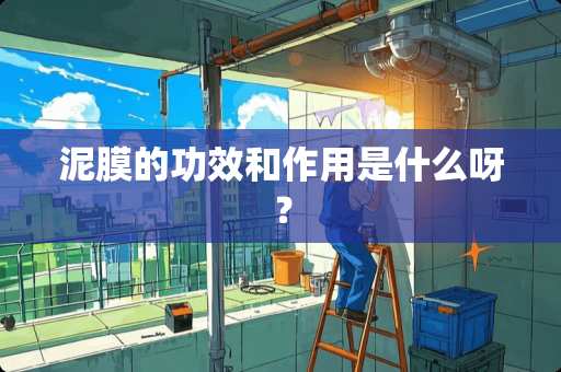 泥膜的功效和作用是什么呀？