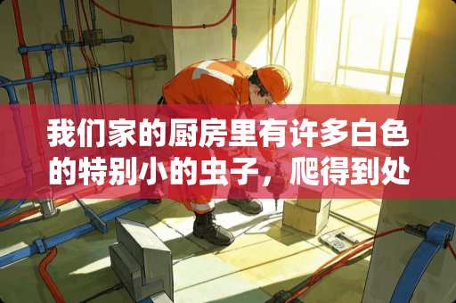 我们家的厨房里有许多白色的特别小的虫子，爬得到处都是.不知道怎么才能消灭它们？