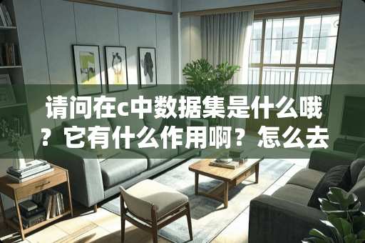 请问在c中数据集是什么哦？它有什么作用啊？怎么去用它啊？