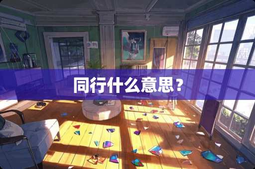 同行什么意思？