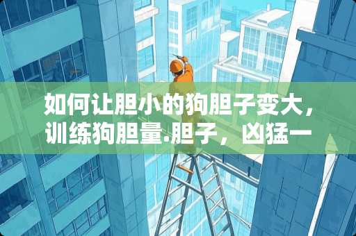 如何让胆小的狗胆子变大，训练狗胆量.胆子，凶猛一些