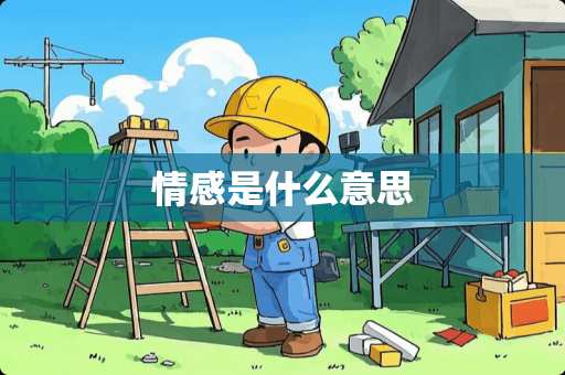 情感是什么意思