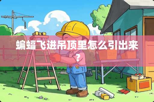 蝙蝠飞进吊顶里怎么引出来？