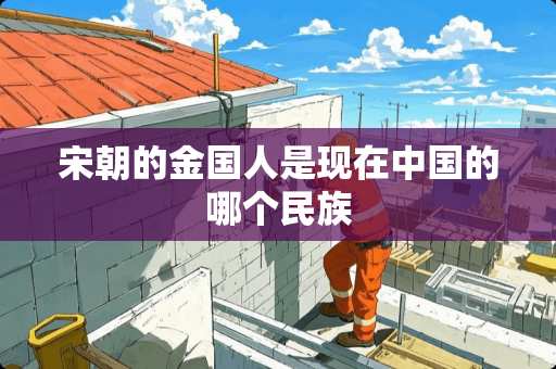 宋朝的金国人是现在中国的哪个民族