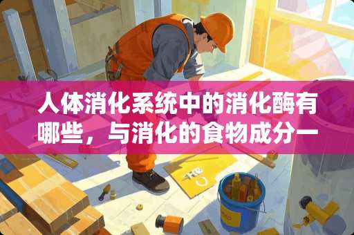 人体消化系统中的消化酶有哪些，与消化的食物成分一一对应关系？