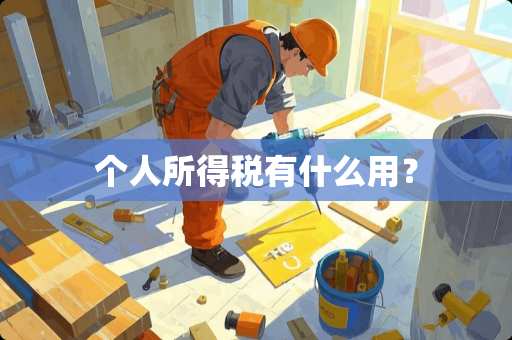 个人所得税有什么用？