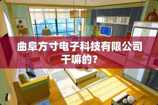 曲阜方寸电子科技有限公司干嘛的？