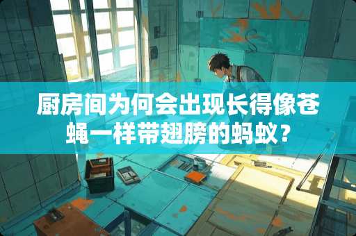 厨房间为何会出现长得像苍蝇一样带翅膀的蚂蚁？