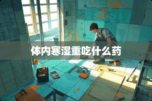 体内寒湿重吃什么药