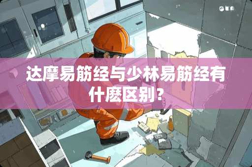 达摩易筋经与少林易筋经有什麽区别？