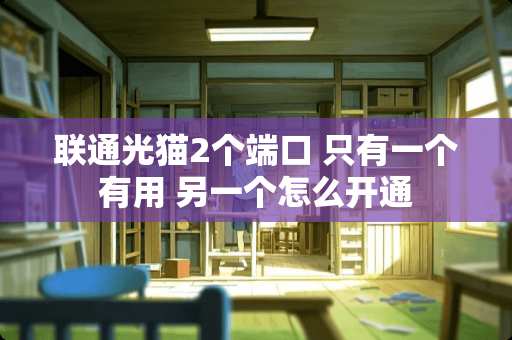 联通光猫2个端口 只有一个有用 另一个怎么开通