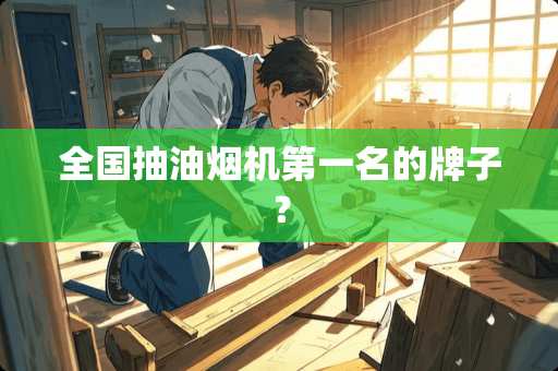 全国抽油烟机第一名的牌子？