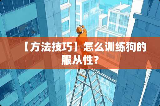 【方法技巧】怎么训练狗的服从性？