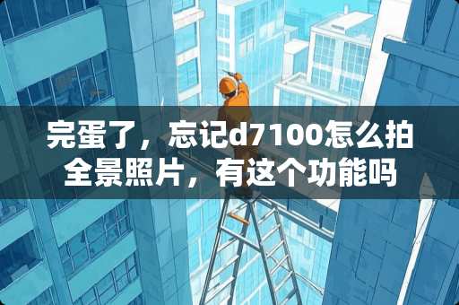 完蛋了，忘记d7100怎么拍全景照片，有这个功能吗