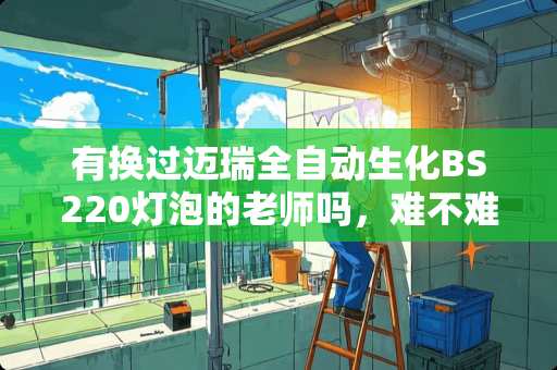 有换过迈瑞全自动生化BS220灯泡的老师吗，难不难？